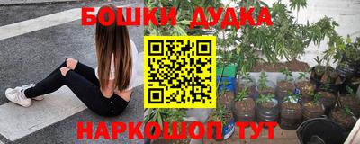 ALPHA PVP Малгобек
