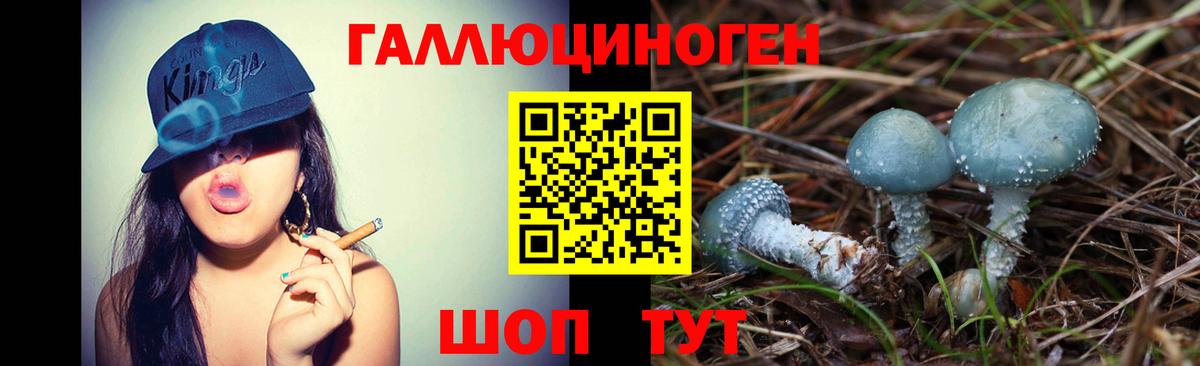 Псилоцибиновые грибы мицелий Чусовой